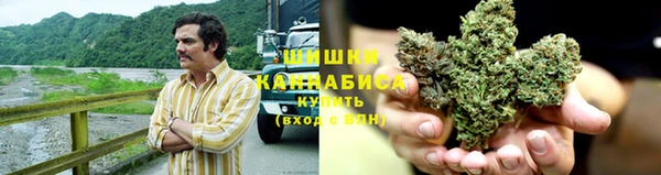 PSILOCYBIN Богородск