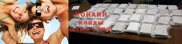 сатива Белокуриха